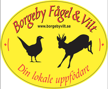 Borgeby Fågel & Vilt